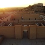 ஜெர்மனியில் H5N1 பறவைக் காய்ச்சல் உறுதி – அமுலாகும் கட்டுப்பாடுகள்