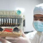 ரணிலுக்கு தலையிடி: லண்டனிலும் களமிறங்கியது சிஐடி குழு!