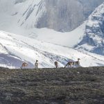 உக்ரைனின் (Ukraine) அடுக்குமாடி குடியிருப்பை குறிவைத்து தாக்கிய ரஷ்யா – 10 பேர் பலி!