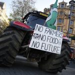 கருவாடு, மாசி இறக்குமதி அதிகரிப்பு: நாமல் கடுப்பு!