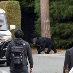 புதிய எரிபொருள் விலைகளை அறிவித்த இலங்கை பெட்ரோலியக் கூட்டுத்தாபனம்