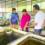 அடுத்த ஜனாதிபதி நாமல் ராஜபக்சதான் – ஜொன்ஸ்டன் பெர்ணான்டோவின் அதிரடி அறிவிப்பு!