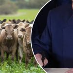 பிரான்ஸில் பரபரப்பை ஏற்படுத்தியுள்ள ட்ரோன் – ஆயுதங்களைத் குறி வைக்கும் மர்மம்