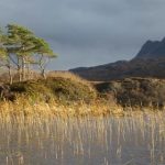 பான் வேர்ல்டு AA22xA6 படத்தின் இசை அமைப்பாளரை அறிவித்தார் அல்லு அர்ஜுன்