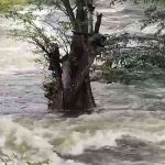 தலைப்பில் சர்ச்சை! “வாரணாசி” படத்தின் பெயர் மாற்றப்பட்டது…