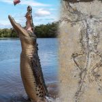 உக்ரைனில் போருக்கு மத்தியில் பெரும் ஊழல்! ஜெலென்ஸ்கியின் நெருங்கிய வட்டாரத்திற்கு தொடர்பு