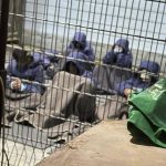 வாயைக் கொடுத்து மாட்டிக்கொண்ட ராஜமௌலி ! பொலிஸில் முறைப்பாடு