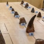 நேபாளத்தில் இருந்து இந்தியாவிற்கு வருகை தந்த இரு வெளிநாட்டினர் கைது!