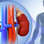 மத்திய வங்கியின் முக்கிய தீர்மானம்!