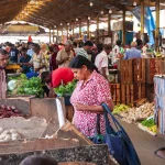 பின்லாந்தில் மீண்டும் கொவிட் அச்சம் – வாரத்திற்கு 200 தொற்றாளர்கள்