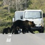 வேலை தேட செயற்கை உதவும் நுண்ணறிவு – சிங்கப்பூரில் 3,500க்கும் அதிகமானோர் நாட்டம்