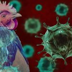 கொலை குற்றம் சாட்டப்பட்ட இளைஞர் தூக்கில் தொங்கிய நிலையில் மீட்பு!