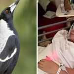 சீனாவில் திருமணத்தை ஊக்குவிக்க நள்ளிரவில் நடக்கும் களியாட்டம்