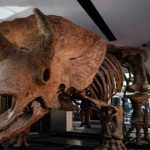 ஈக்வடார் (Ecuador) சிறைச்சாலையில் கைதிகளுக்கு இடையில் மோதல்! பலர் பலி!