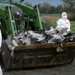 ஆவியாக வர முடியாவிட்டால் அடுத்த பிறவியில் பழி தீர்ப்பேன் – எம்.பி.யின் ஆவேசம்