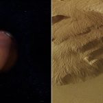 சீனாவில் மேலுமொரு தூதரகம் அமைக்கிறது இலங்கை!