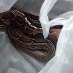 பிரித்தானியாவின் அஜாக்ஸ் (Ajax) கவச வாகனங்களில் பாதுகாப்பு அச்சுறுத்தல்!