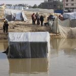 யாழ் மாவட்டத்தில் அச்சுறுத்தும் ஆப்பிரிக்க நத்தைகள்