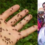 பிலிப்பைன்ஸில் அவசரகால நிலையை அறிவித்த ஜனாதிபதி