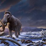 ஜப்பானுக்கு பயணம் செய்ய வேண்டாம் – சீன குடிமக்களுக்கு அறிவுறுத்தல்!