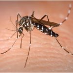 இந்தியா – ஓமன் இடையே தடையற்ற வர்த்தக ஒப்பந்தம் கைச்சாத்து