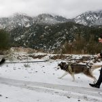 மண்டியிட்டது கூட்டு எதிரணி: வென்று காட்டியது என்பிபி!