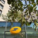 இந்திய பயணத்தால் அர்ஜென்டினா கால்பந்து வீரர் மெஸ்ஸிக்கு கிடைத்த வருமானம்?