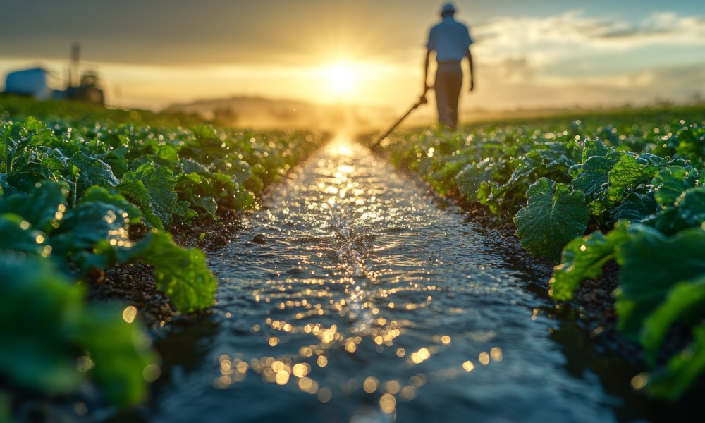 A Victorian vegetable farm has been sued for underpaying migrants