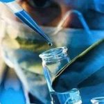 கரத்தா விமான நிலையம் சர்வதேச விமான நிலையமாக மாறுகிறது: சிங்கப்பூர், பாலிக்கு நேரடிப் பயணம்