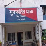 படுக்கையறையில் சிலந்தி செடி (Spider Plant): ஆழ்ந்த தூக்கத்திற்கும் ஆரோக்கியத்திற்கும் ஒரு வரப்பிரசாதம்!