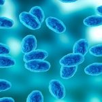 இலங்கையில் அனைத்து வெள்ள அபாய எச்சரிக்கைகளும் நீக்கம்