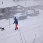 கட்டுநாயக்க விமான நிலையத்தில் நள்ளிரவில் பரபரப்பு: தோஹாவிலிருந்து வந்த விமானத்திற்கு குண்டு மிரட்டல்