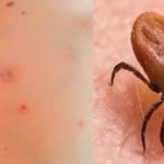 இந்திய இராணுவத்தால் மஹியங்கனை தகவல் தொடர்பு மீளமைப்பு.