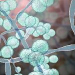 வசூலில் சாதனை படைத்த சுங்கத் திணைக்களம்: ஜனாதிபதி பாராட்டு!