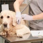 வெனிசுலா கடற்கரையில் மிகப்பெரிய எண்ணெய் டேங்கரை கைப்பற்றியது அமெரிக்கா