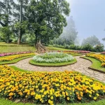 கிறிஸ்துமஸ் தினத்தில்  அவசரமாக தரையிறக்கப்பட்ட 03 விமானங்கள்!