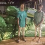 யாழ்ப்பாணம்: சிறுமியை துஷ்பிரயோகம் செய்த உறவினருக்கு விளக்கமறியல்.