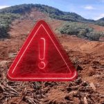 ஆஷஸ் தொடர் – இரண்டாவது டெஸ்ட் போட்டியிலும் ஆஸ்திரேலிய அணி வெற்றி