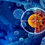 கிறிஸ்துமஸிலும் தொடரும் போர் – பரஸ்பரம் ட்ரோன் தாக்குதல்கள் முன்னெடுப்பு!