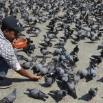 முன்னாள் ஹார்வர்டு தொழிலாளிக்கு 8 ஆண்டுகள் சிறைத்தண்டனை