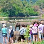 தெலுங்கானாவில் வரதட்சணை கேட்டு 22 வயது பெண் அடித்துக் கொலை