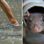 வெள்ளத்தால் பாதிக்கப்பட்டோருக்கான உதவி அதிகரிப்பு