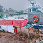 ஐரோப்பிய நாடுகளில் வேகமாக பரவி வரும் வைரஸ் தொற்று – தடுப்பூசிகளை பெற்றுக்கொள்ள வலியுறுத்தல்!