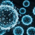 UKவின் பிரிஸ்டல் (Bristol Museum) அருங்காட்சியகத்தில் கொள்ளை!