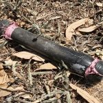 பொங்கல் விழாவில் தமிழ் மக்களிடம் ஜனாதிபதி வழங்கிய உறுதிமொழி!