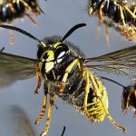 அநுர அரசுக்கு நற்சான்றிதழ் வழங்கியது சீனா: வெளிவிவகார அமைச்சர் கூறியது என்ன?