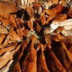 புதிய அரசமைப்பு ஊடாக தமிழருக்கு தீர்வு! நீதி அமைச்சர் உறுதி!!