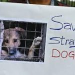 இராஜதந்திர வெற்றியோடு நாடு திரும்பினார் பிரதமர்!