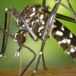 நில வாடகைக்கு முற்றுப்புள்ளி” ; இங்கிலாந்து மற்றும் வேல்ஸில் ஆண்டுக்கு 250 பவுண்டுகள் உச்சவரம்பு அமல்