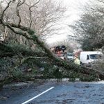 மங்காத்தா தியேட்டரில் மோதல்: TVK கொடியை அசைத்தவரை பதம் பார்த்த அஜித் ரசிகர்கள்!